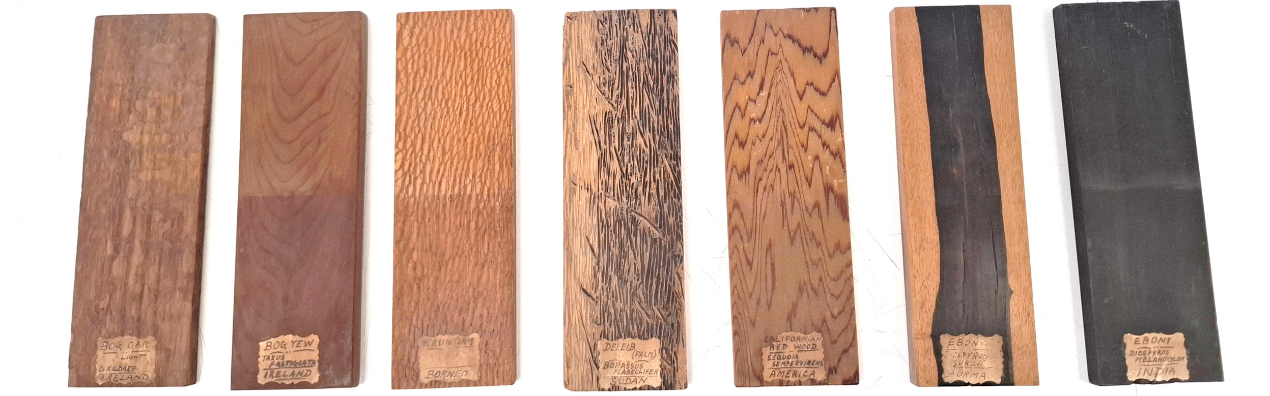 Seven timber samples with labels
